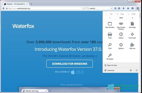 Скриншот программы Waterfox для Windows 10