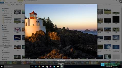 Скриншот программы Picasa Photo Viewer для Windows 10