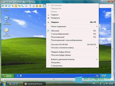Скриншот программы Radmin для Windows 10