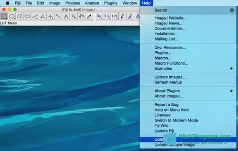 Скриншот программы ImageJ для Windows 10
