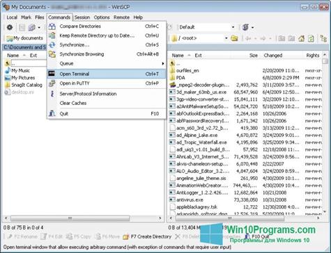Скриншот программы WinSCP для Windows 10