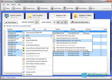 Скриншот программы Duplicate Cleaner для Windows 10
