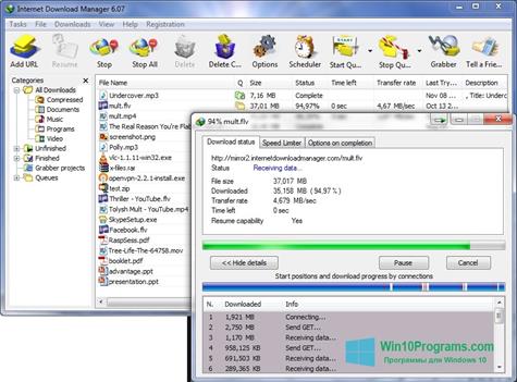 Скриншот программы Internet Download Manager для Windows 10