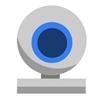 Webcam Surveyor для Windows 10