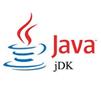 Java SE Development Kit для Windows 10