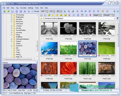 Скриншот программы Faststone Image Viewer для Windows 10