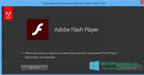 Скриншот программы Adobe Flash Player для Windows 10